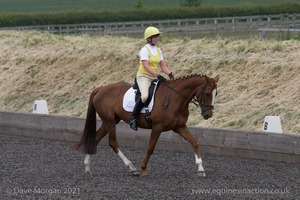 ISIS Dressage Challenge 2008